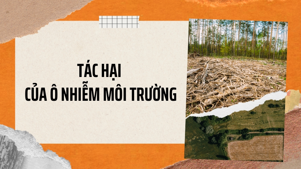 Tác hại của ô nhiễm môi trường